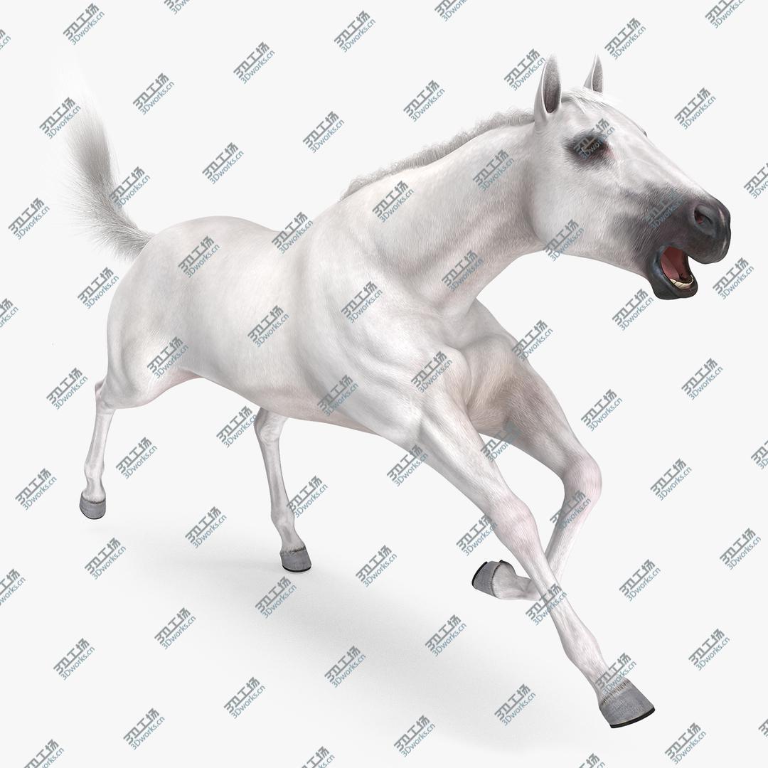 images/goods_img/20210319/3D White Horse Fur Rigged/1.jpg